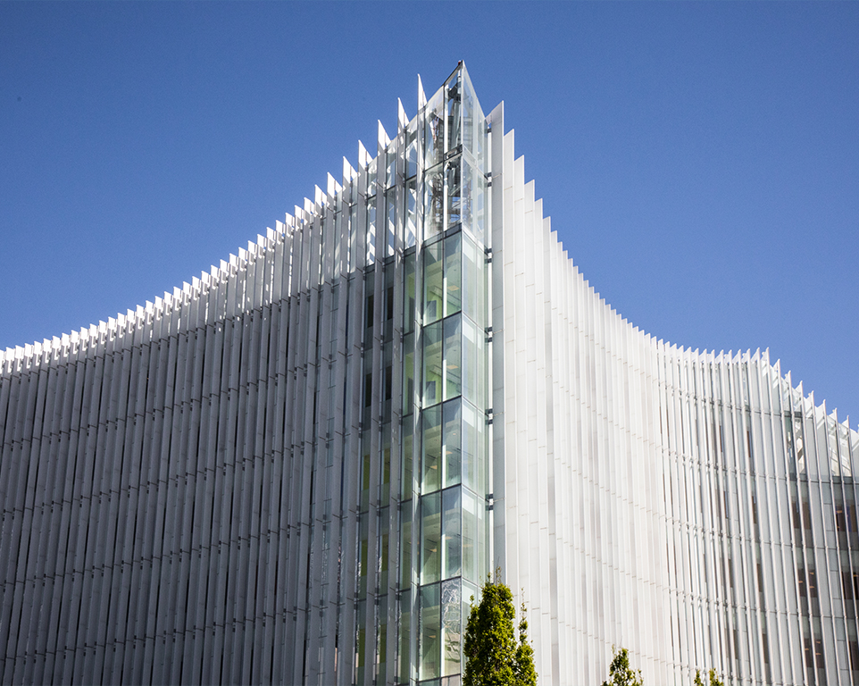 decoral, san raffaele, milano