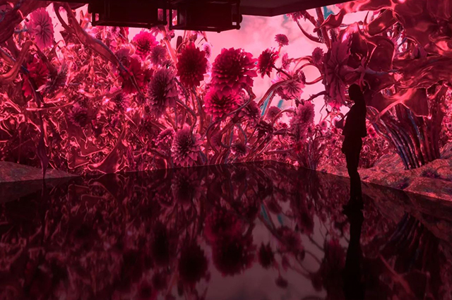 magentaverse, pantone 2023, decoral