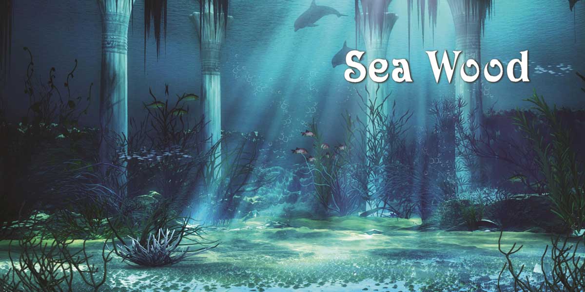nuovi prodotti Sea Wood, Decoral 